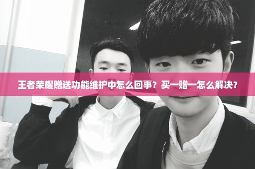 王者荣耀赠送功能维护中怎么回事？买一赠一怎么解决？