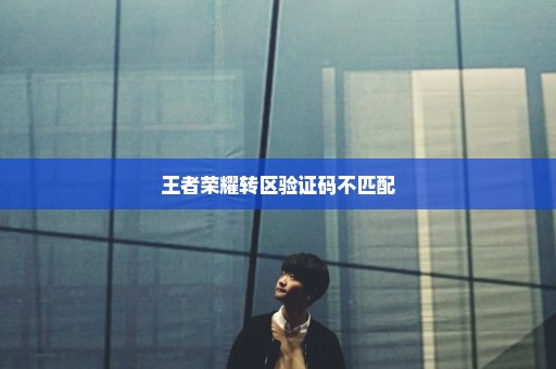 王者荣耀转区验证码不匹配