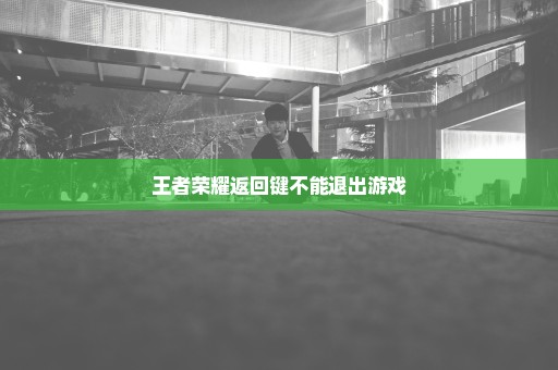 王者荣耀返回键不能退出游戏