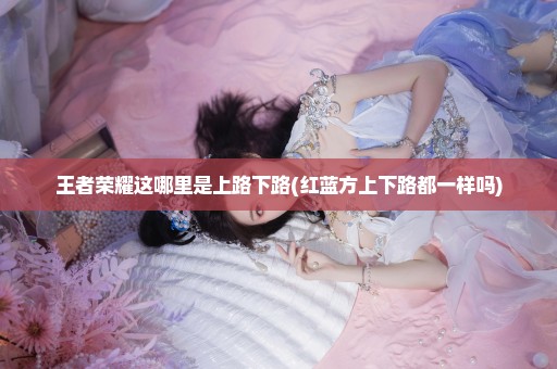 王者荣耀这哪里是上路下路(红蓝方上下路都一样吗)