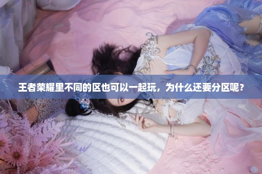 王者荣耀里不同的区也可以一起玩，为什么还要分区呢？