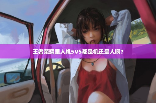 王者荣耀里人机5V5都是机还是人啊？