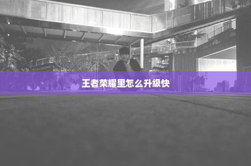 王者荣耀里怎么升级快