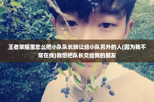 王者荣耀里怎么把小队队长转让给小队另外的人(因为我不常在线)我想把队长交给我的朋友