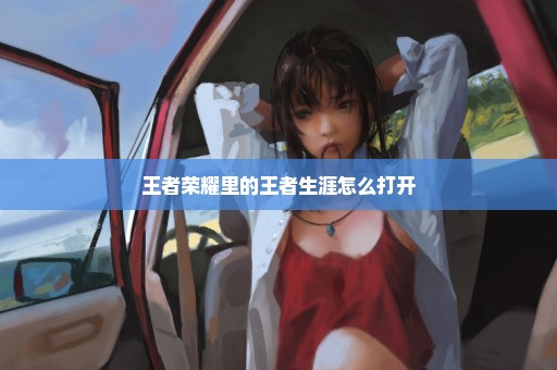 王者荣耀里的王者生涯怎么打开