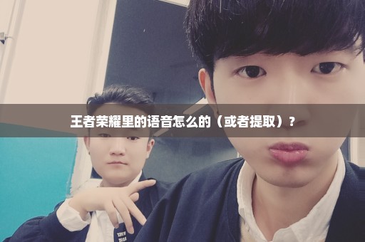 王者荣耀里的语音怎么的（或者提取）？