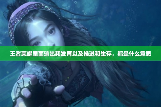 王者荣耀里面输出和发育以及推进和生存，都是什么意思