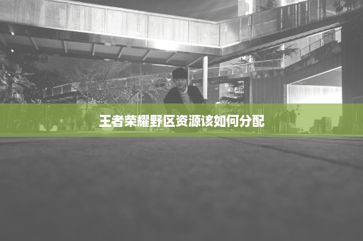 王者荣耀野区资源该如何分配