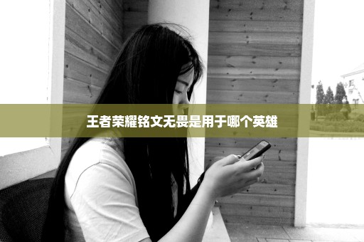 王者荣耀铭文无畏是用于哪个英雄