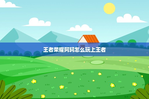 王者荣耀阿轲怎么玩上王者