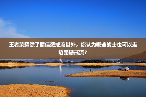 王者荣耀除了暗信惩戒流以外，你认为哪些战士也可以走边路惩戒流？