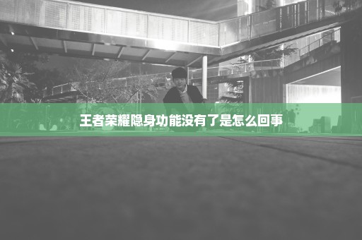 王者荣耀隐身功能没有了是怎么回事