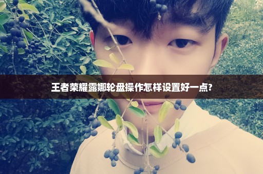 王者荣耀露娜轮盘操作怎样设置好一点?