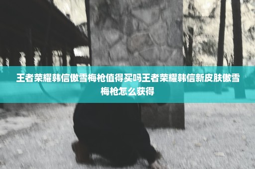 王者荣耀韩信傲雪梅枪值得买吗王者荣耀韩信新皮肤傲雪梅枪怎么获得