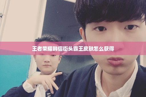 王者荣耀韩信街头霸王皮肤怎么获得