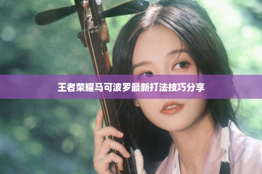 王者荣耀马可波罗最新打法技巧分享