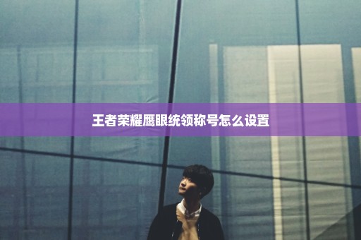 王者荣耀鹰眼统领称号怎么设置