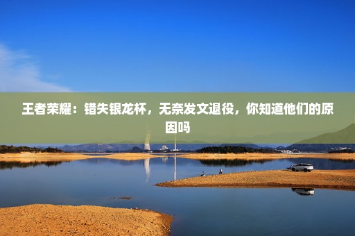 王者荣耀：错失银龙杯，无奈发文退役，你知道他们的原因吗