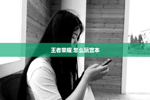 王者荣耀 怎么玩宫本