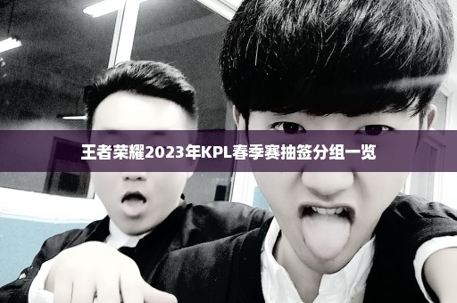 王者荣耀2023年KPL春季赛抽签分组一览