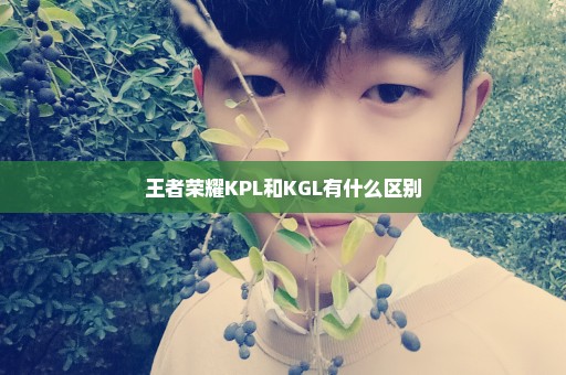 王者荣耀KPL和KGL有什么区别