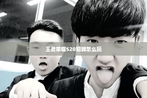 王者荣耀S20貂蝉怎么玩