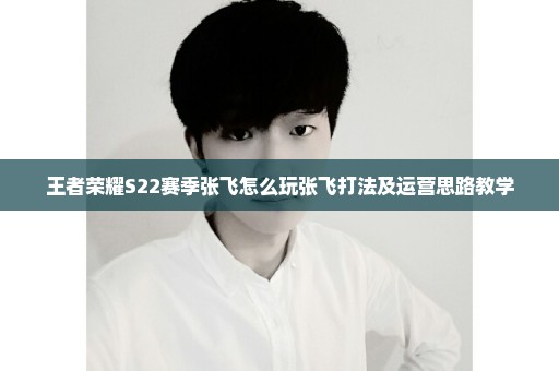 王者荣耀S22赛季张飞怎么玩张飞打法及运营思路教学