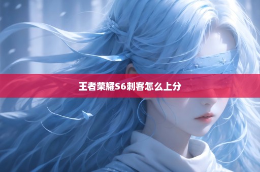 王者荣耀S6刺客怎么上分
