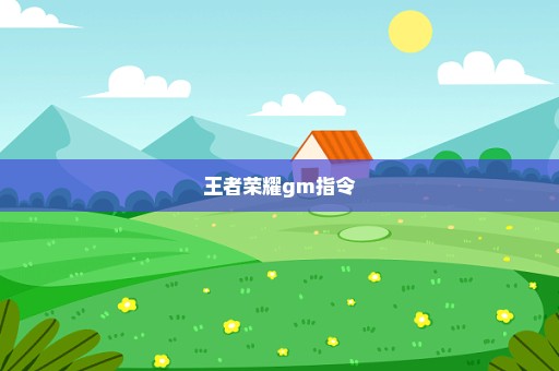 王者荣耀gm指令