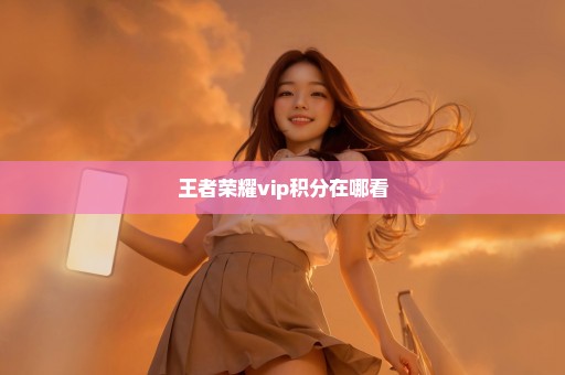 王者荣耀vip积分在哪看