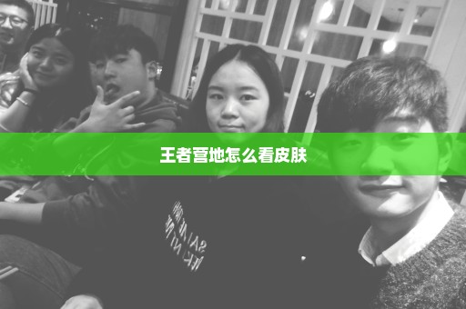 王者营地怎么看皮肤