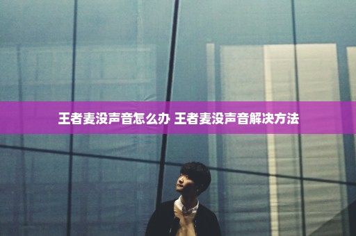 王者麦没声音怎么办 王者麦没声音解决方法