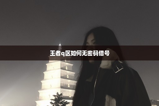 王者q区如何无密码借号