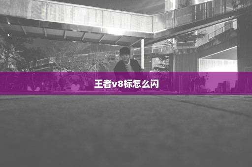 王者v8标怎么闪