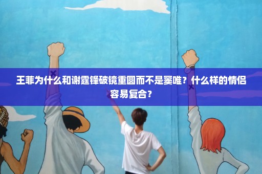 王菲为什么和谢霆锋破镜重圆而不是窦唯？什么样的情侣容易复合？