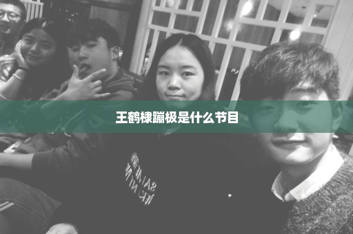 王鹤棣蹦极是什么节目