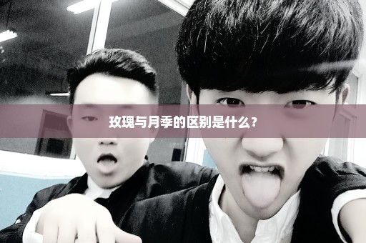 玫瑰与月季的区别是什么？