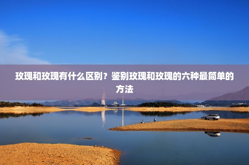 玫瑰和玫瑰有什么区别？鉴别玫瑰和玫瑰的六种最简单的方法