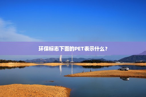 环保标志下面的PET表示什么？