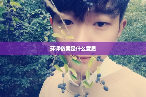 环评备案是什么意思