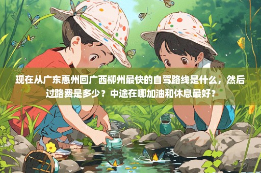 现在从广东惠州回广西柳州最快的自驾路线是什么，然后过路费是多少？中途在哪加油和休息最好？