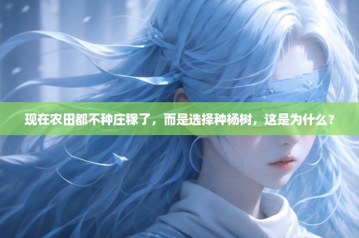 现在农田都不种庄稼了，而是选择种杨树，这是为什么？