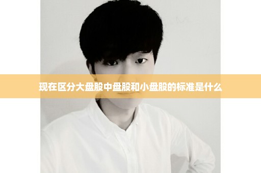 现在区分大盘股中盘股和小盘股的标准是什么