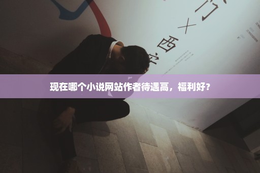 现在哪个小说网站作者待遇高，福利好？
