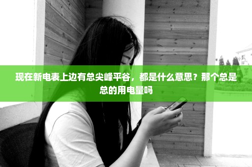 现在新电表上边有总尖峰平谷，都是什么意思？那个总是总的用电量吗