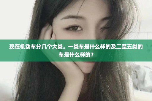现在机动车分几个大类。一类车是什么样的及二至五类的车是什么样的？