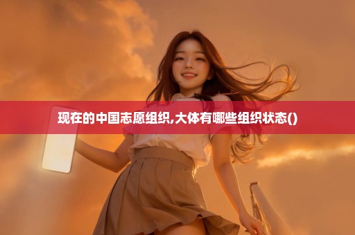 现在的中国志愿组织,大体有哪些组织状态()