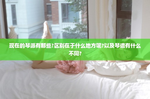 现在的琴派有那些?区别在于什么地方呢?以及琴谱有什么不同?