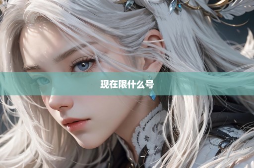 现在限什么号