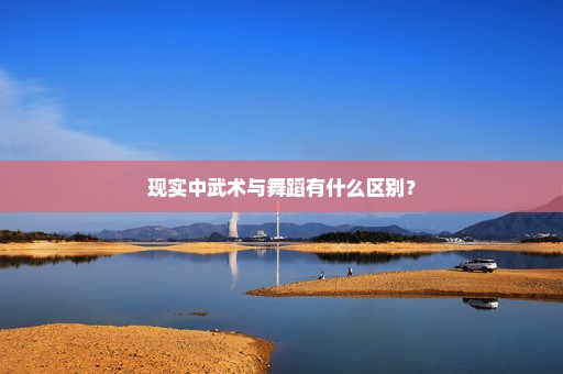 现实中武术与舞蹈有什么区别？